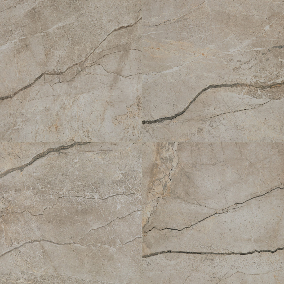 Daltile Panoramic Duet Elestial Square 48x48 Matte Floor Tile