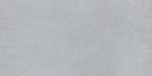 Daltile Cohesion Light Grey Rectangle 12x24 Polished Floor Tile