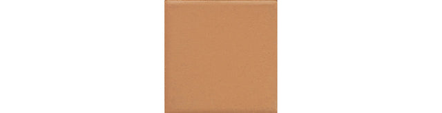 Daltile Keystones Pumpkin Spice Straight Joint 2x2 Matte Mosaic Tile