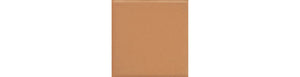 Daltile Keystones Pumpkin Spice Straight Joint 1x1 Matte Mosaic Tile