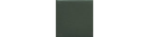 Daltile Keystones Oak Moss Straight Joint 1x1 Matte Mosaic Tile