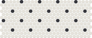 Daltile Keystones Arctic White/Black Penny Rounds Matte Mosaic Tile DK30PNYRDMS1P