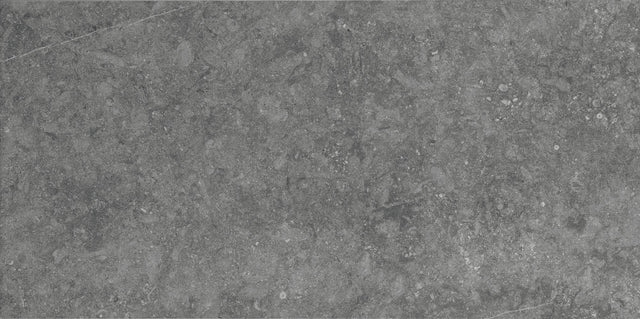 Daltile Diplomacy Light Grey Rectangle 12x24 Matte Floor Tile DP01RCT1224MT