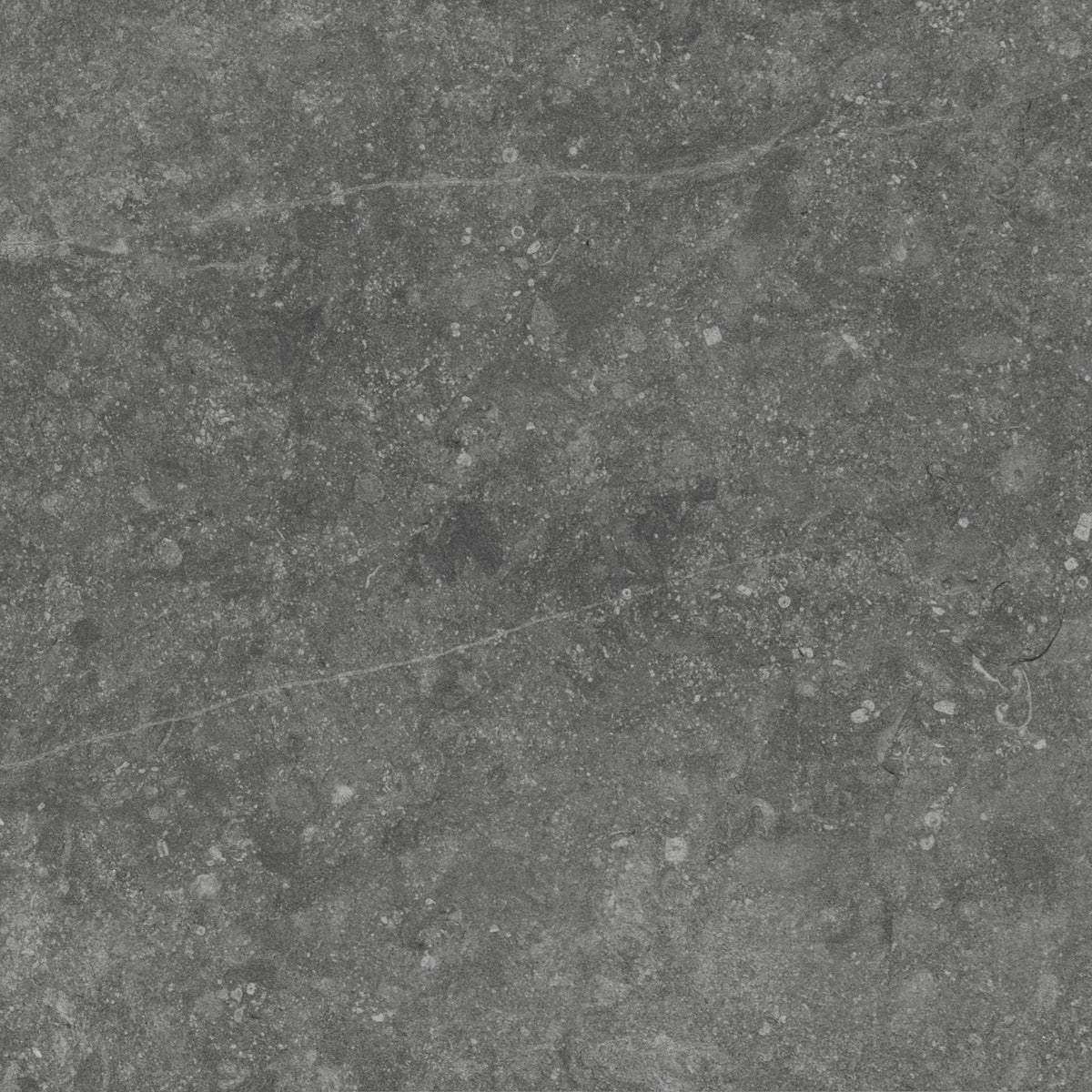 Daltile Diplomacy Medium Grey Square 24x24 Matte Floor Tile