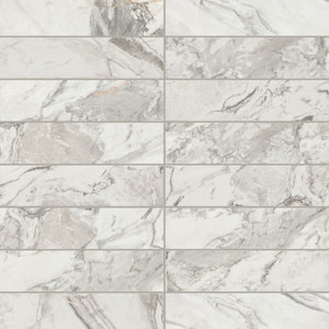 Daltile Divinium Zion Rectangle 3x12 Microban Glossy Wall Tile