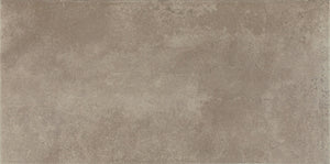 Daltile Emergent Pewter Rectangle 12x24 Light Polished Floor Tile