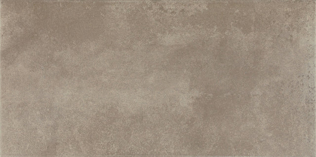 Daltile Emergent Pewter Rectangle 24x48 Light Polished Floor Tile