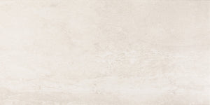 Daltile Advantage Aria White Rectangle 12x24 Matte Floor Tile