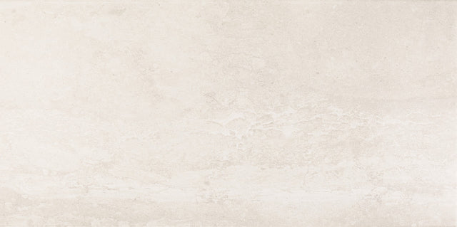 Daltile Advantage Aria White Rectangle 12x24 Matte Floor Tile