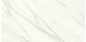 Daltile Florentine Carrara Rectangle 12x24 Matte Floor Tile