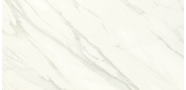 Daltile Florentine Carrara Rectangle 12x24 Matte Floor Tile