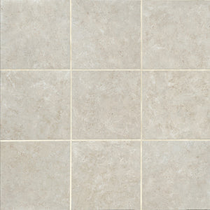 Daltile Florentine Argento Square 24x24 Matte Floor Tile
