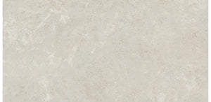 Daltile Florentine Argento Rectangle 12x24 Matte Floor Tile