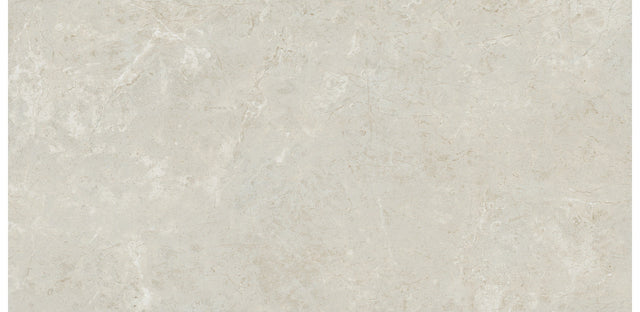 Daltile Florentine Argento Rectangle 12x24 Matte Floor Tile