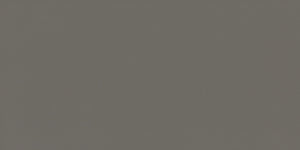 Daltile Flat Iron Rectangle 12x24 Matte Floor Tile