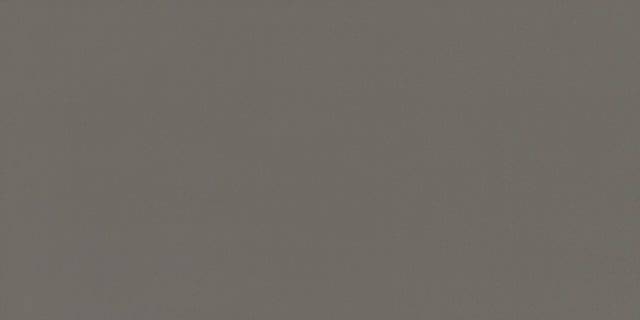 Daltile Flat Iron Rectangle 12x24 Matte Floor Tile
