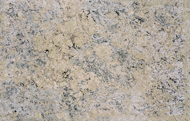 Daltile Granite - Natural Stone Slab White Ice Slab Variable Polished 2CM Natural Stone Slab G238SLAB3/42L