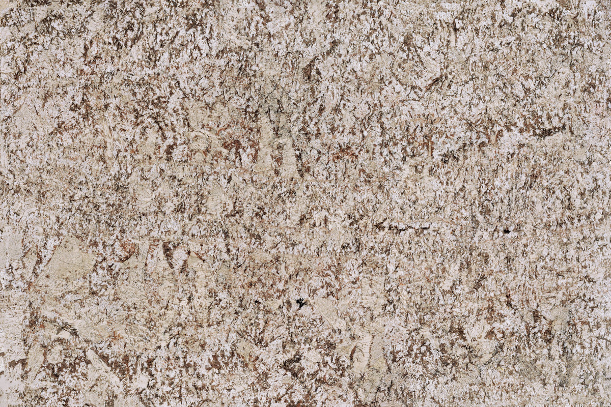Daltile Granite - Natural Stone Slab Bianco Antico Slab Variable Polished 3CM Natural Stone Slab G446SLAB11/42L