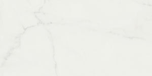 Daltile Grantshire Solara White VSLCAP End Cap SuperGuardX Technology LVT Trim