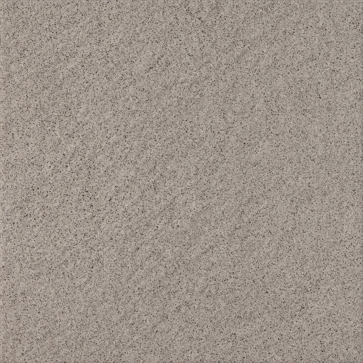Daltile Harmonist Composure Square 12x12 Matte Floor Tile