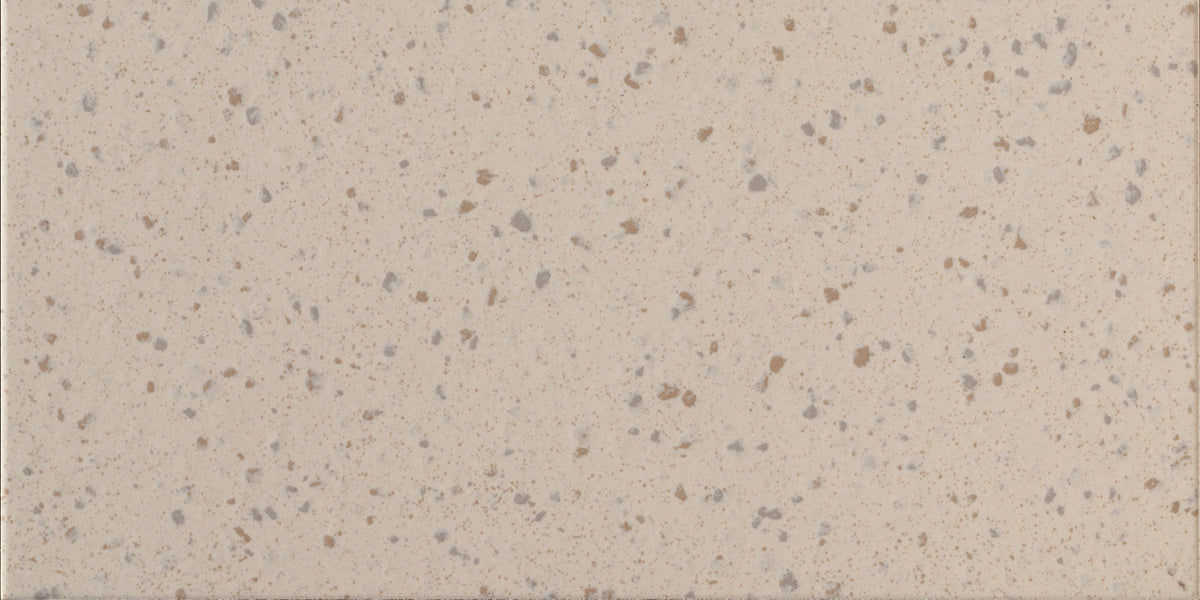 Daltile Harmonist Poise Rectangle 12x24 Matte Floor Tile