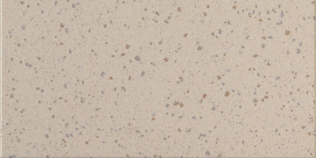 Daltile Harmonist Poise Rectangle 12x24 Matte Floor Tile