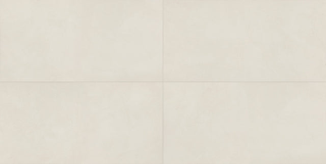 Daltile Indoterra White Desert Rectangle 2x9 Matte Floor Tile