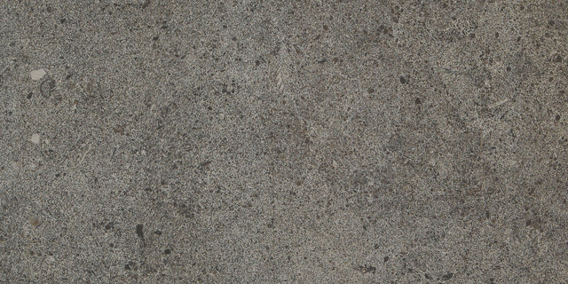Daltile Industrial Park Charcoal Gray Rectangle 12x24 Matte Floor Tile
