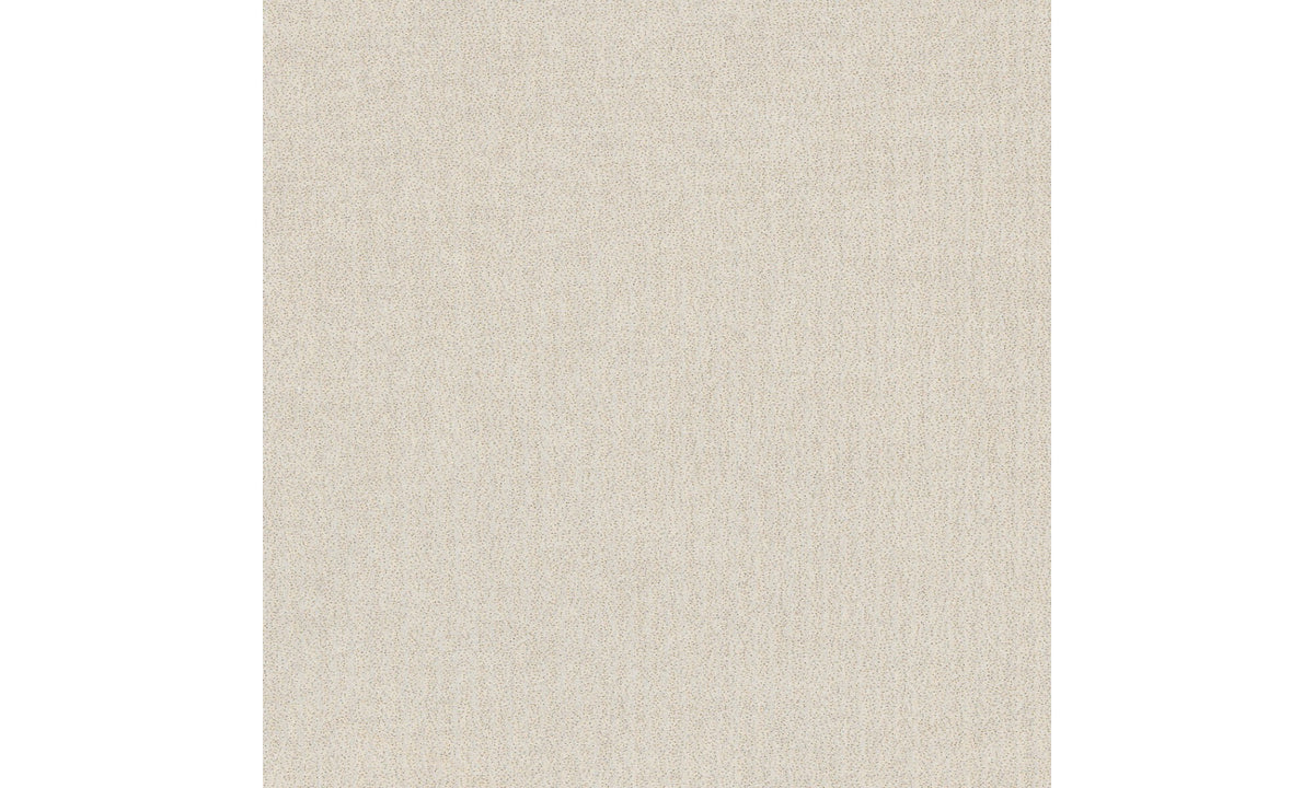 Daltile Prime White Square 12x12 Matte Floor Tile KC01SQ1212MTJJ1