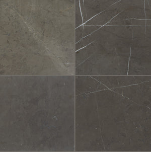 Daltile Marble Antico Scuro Square 12x12 Honed Stone Tile