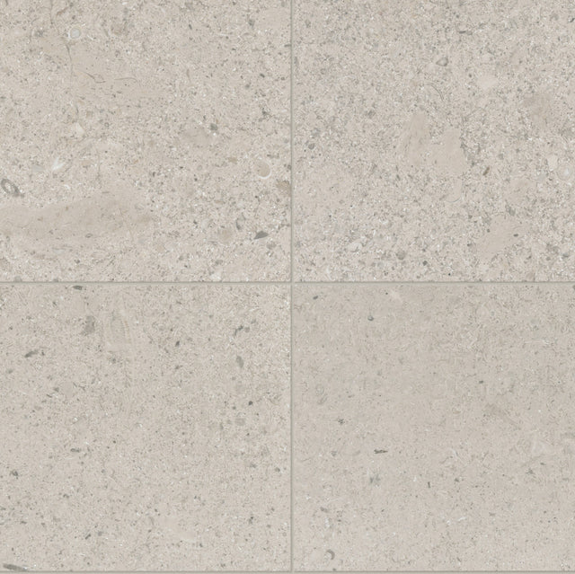 Daltile Center City Delancey Grey Square 24x24 Polished Stone Tile