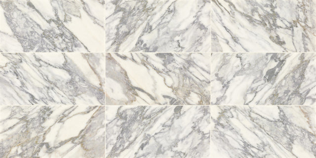 Daltile Eclessia Marble Arabescato Argento Rectangle 12x24 Honed Stone Tile
