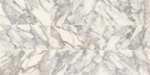 Daltile Eclessia Marble Arabescato Argento Rectangle 12x24 Honed Stone Tile