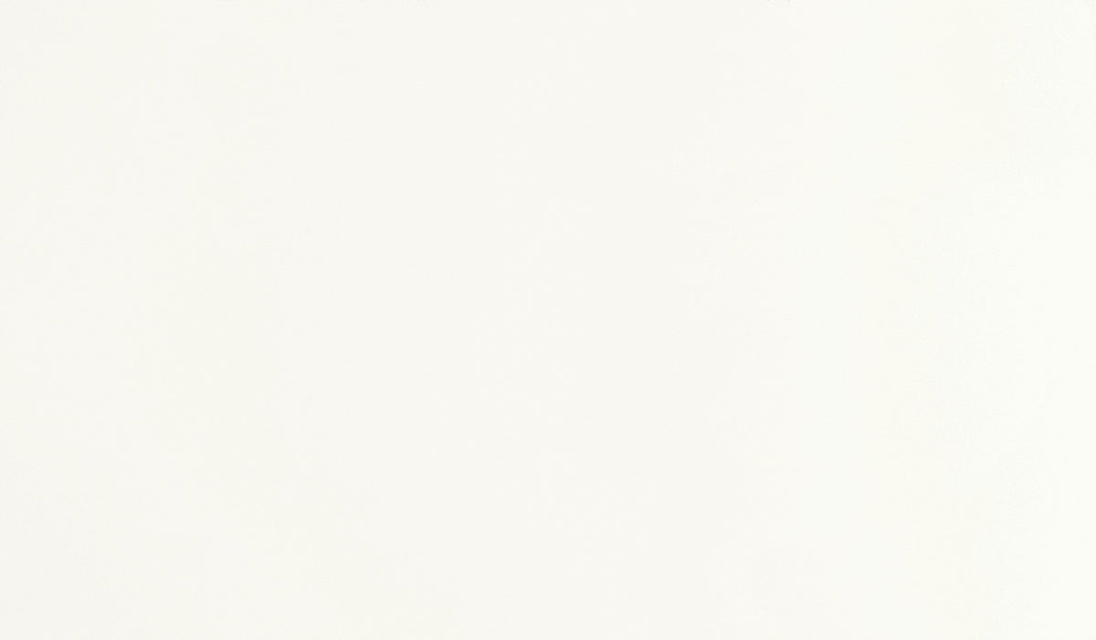 Daltile ONE Quartz - Monochromatic Look Morning Frost Slab 136x79 Polished 3CM Quartz Slab NQ30SLAB11/4T1L