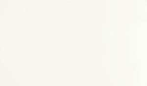 Daltile ONE Quartz - Monochromatic Look Morning Frost Slab 136x79 Polished 3CM Quartz Slab NQ30SLAB11/4T1L