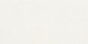Daltile Portfolio Ice Rectangle 12x24 Matte Floor Tile