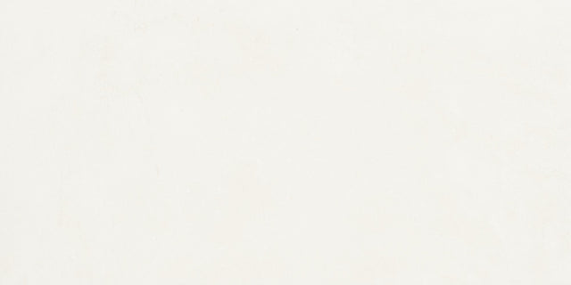 Daltile Portfolio Ice Rectangle 12x24 Microban Matte Floor Tile