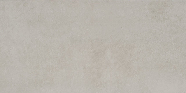 Daltile Portfolio Dove Grey Rectangle 12x24 Microban Matte Floor Tile