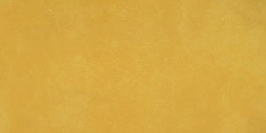 Daltile Portfolio Vivid Generation Z Yellow Rectangle 12x24 Matte Floor Tile