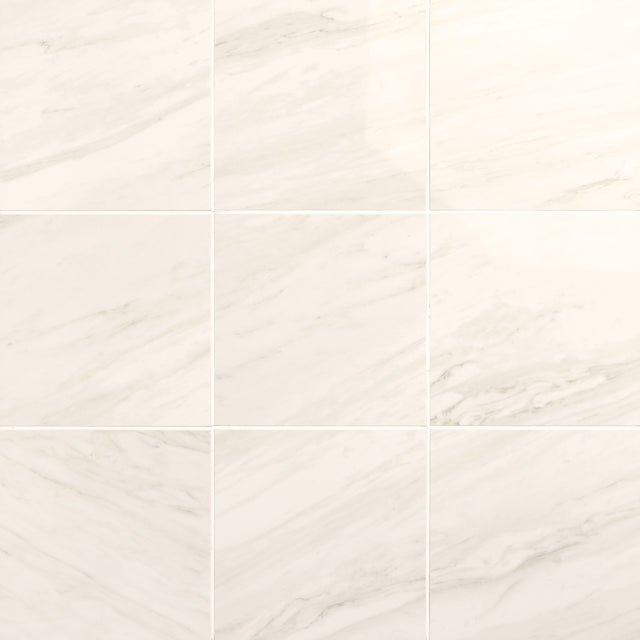 Daltile Perpetuo Timeless White Square 12x12 Matte Floor Tile