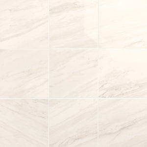Daltile Perpetuo Timeless White Square 12x12 Matte Floor Tile