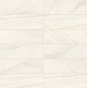 Daltile Perpetuo Timeless White Rectangle 12x24 Matte Floor Tile