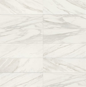 Daltile Perpetuo Brilliant White Rectangle 12x24 Polished Floor Tile