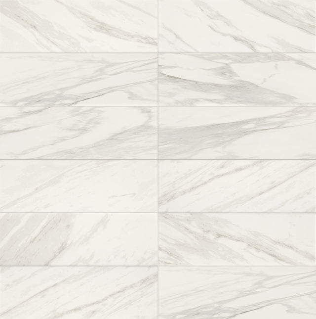 Daltile Perpetuo Brilliant White Rectangle 12x24 Polished Floor Tile