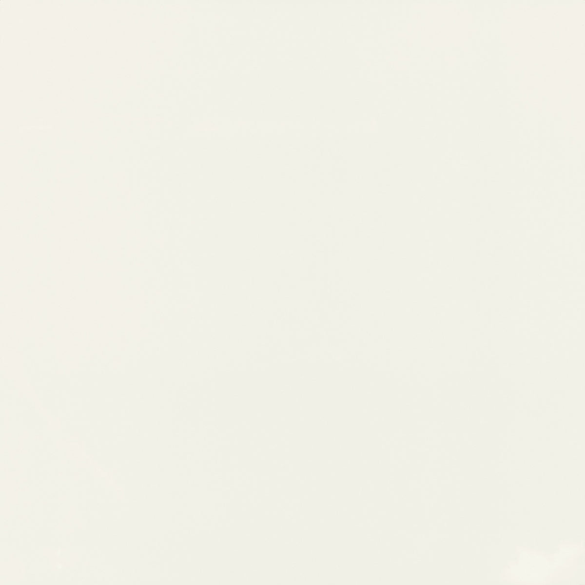 Daltile Pure Frost White Square 12x12 Matte Floor Tile