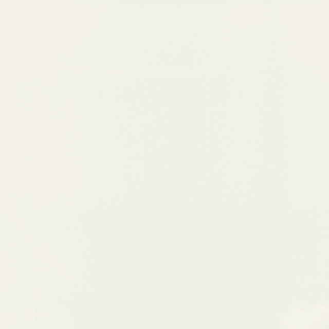 Daltile Pure Frost White Square 12x12 Matte Floor Tile