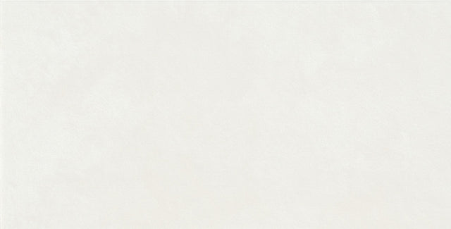 Daltile Rigid Clay Salt Rectangle 12x24 Plateau Microban Matte Wall Tile