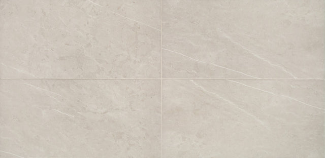 Daltile Prime Dynamic Beige Rectangle 12x24 Matte Floor Tile RL211224J1PV