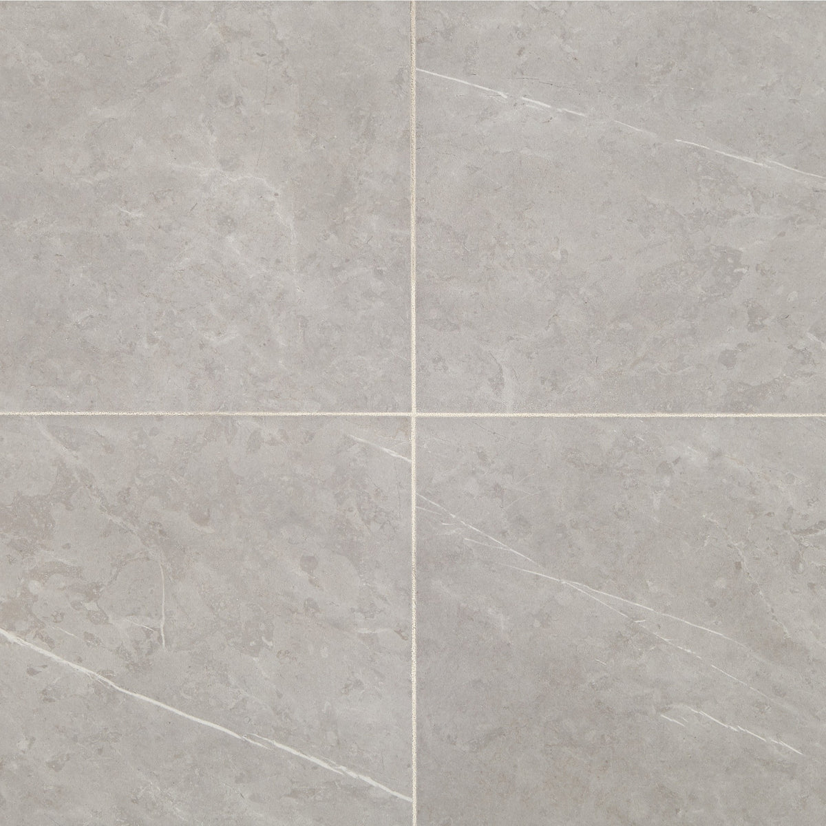 Daltile Prime Stamina Grey Square 12x12 Matte Floor Tile