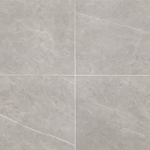 Daltile Prime Stamina Grey Square 12x12 Matte Floor Tile